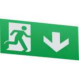 LED Emergency Exit Sign (Maintained/Non-maintained) (EMSWING)