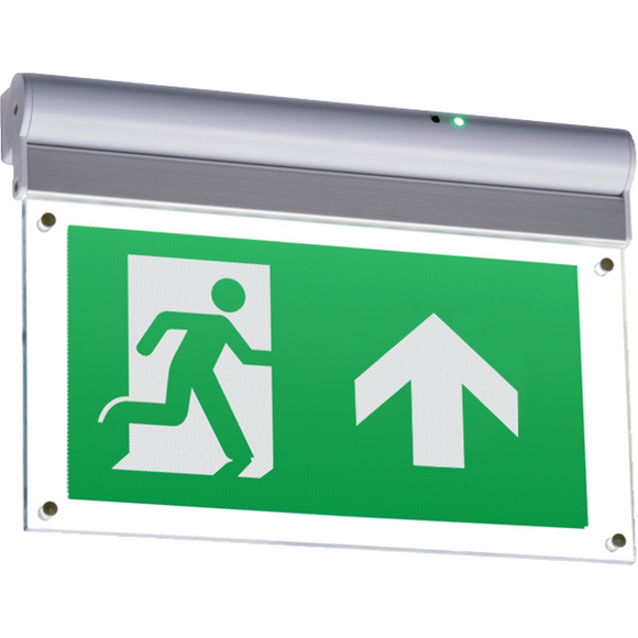 Wall or Ceiling Mounted LED Emergency Exit Sign (EMEXIT)