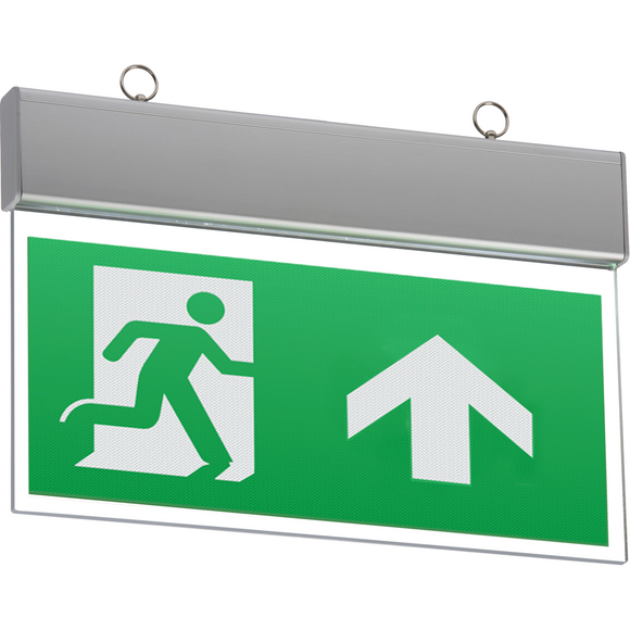 LED Emergency Exit Sign (Maintained/Non-maintained) (EMSWING)
